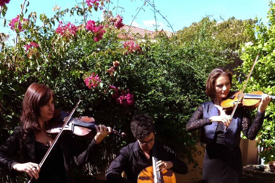 En Jerez de la Frontera