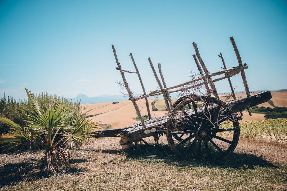 Boda en Cádiz