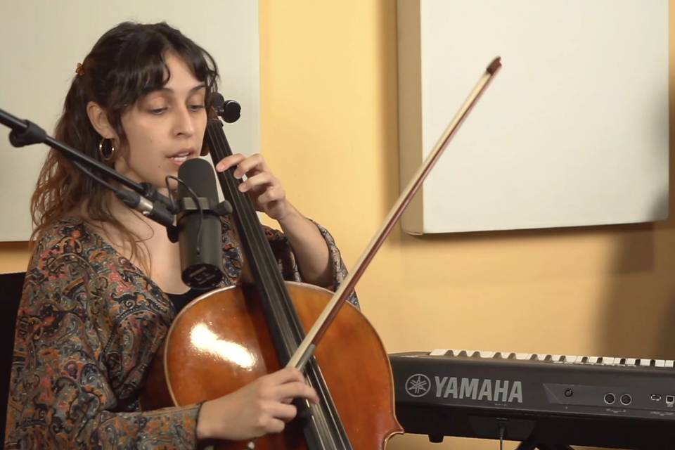 Violonchelo
