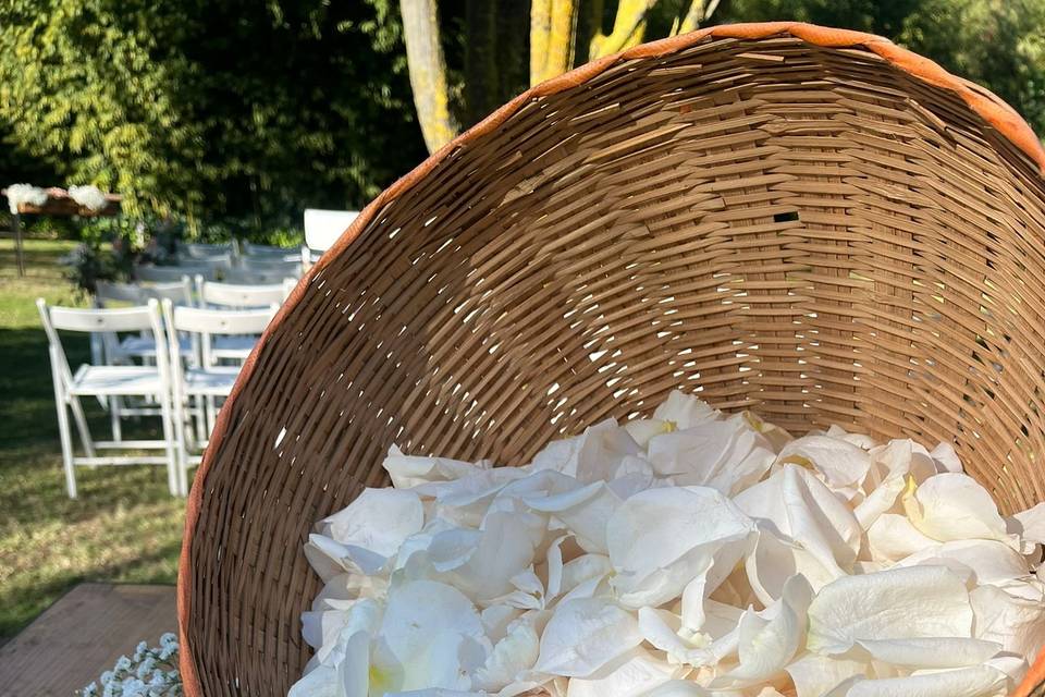 Petalos confetti