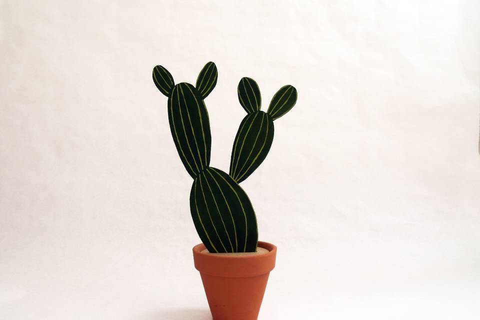 Cactus Sustex