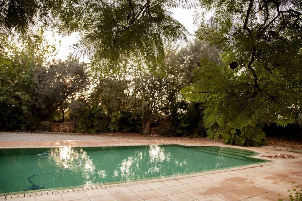 La piscina