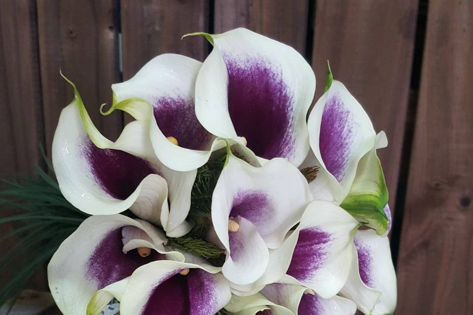 Calas moradas y blancas