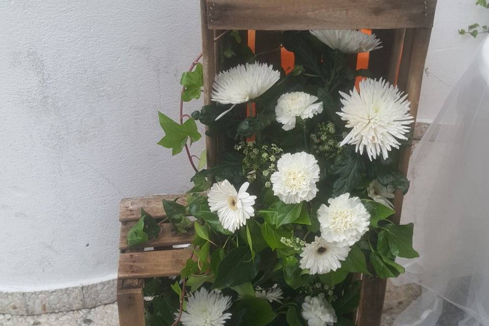 Floristería Susana Solís