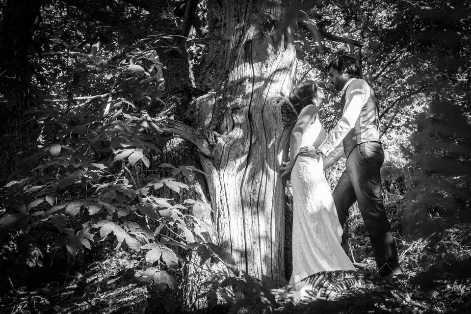 Postboda en el Bosque