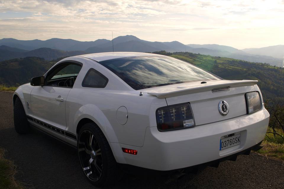 Mustang