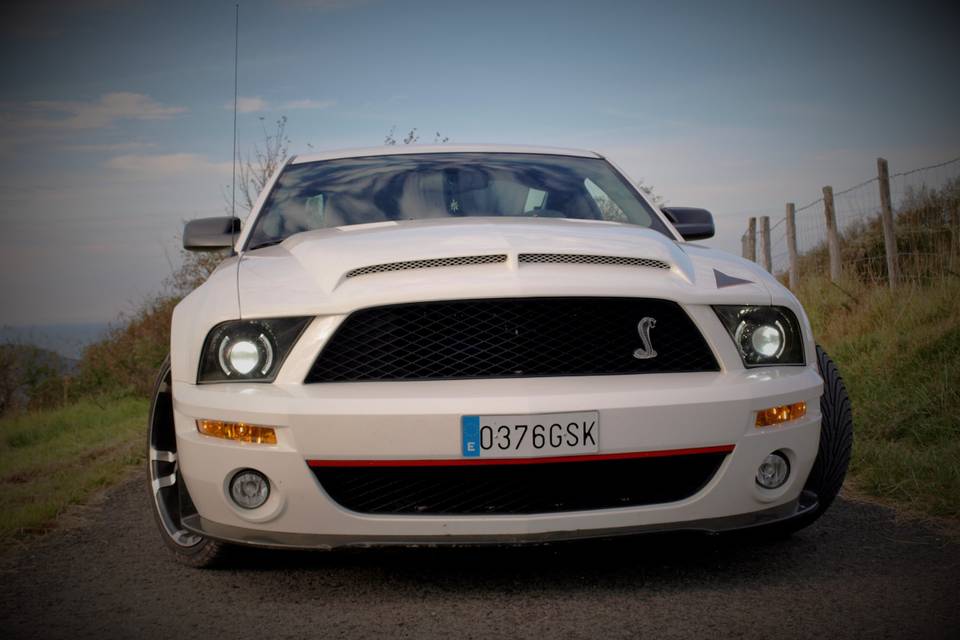 Zesna - Ford Mustang