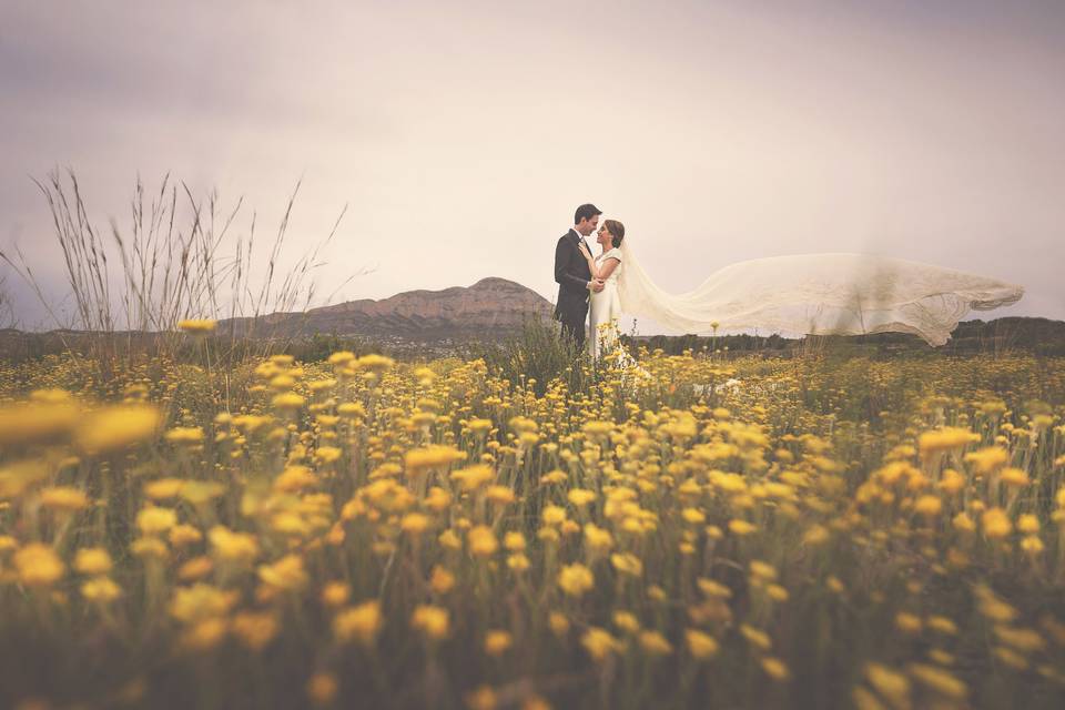 Día de la boda