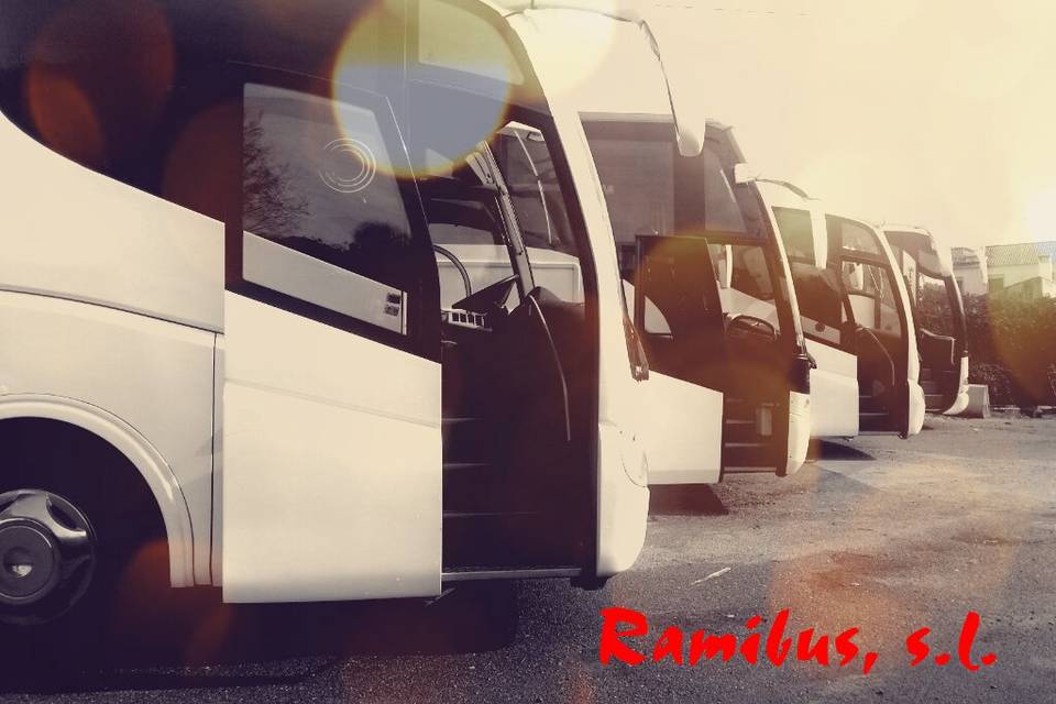 Rami- bus