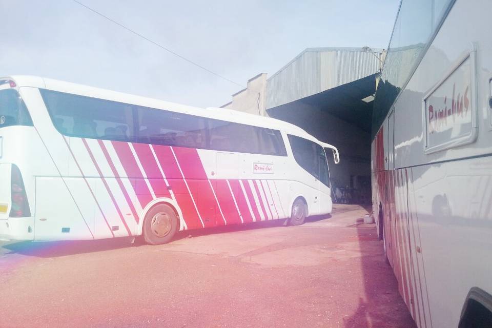 Rami- bus