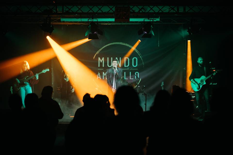 Grupo de versiones