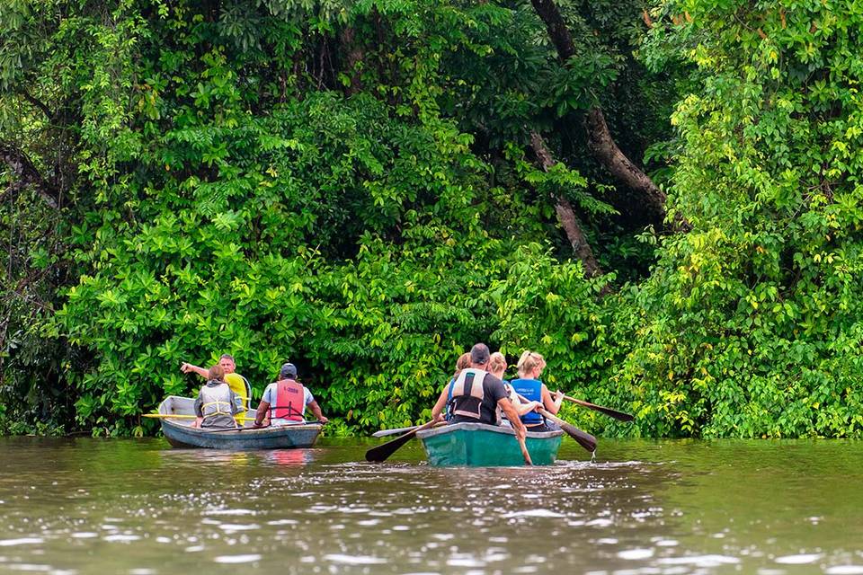 PN Tortuguero