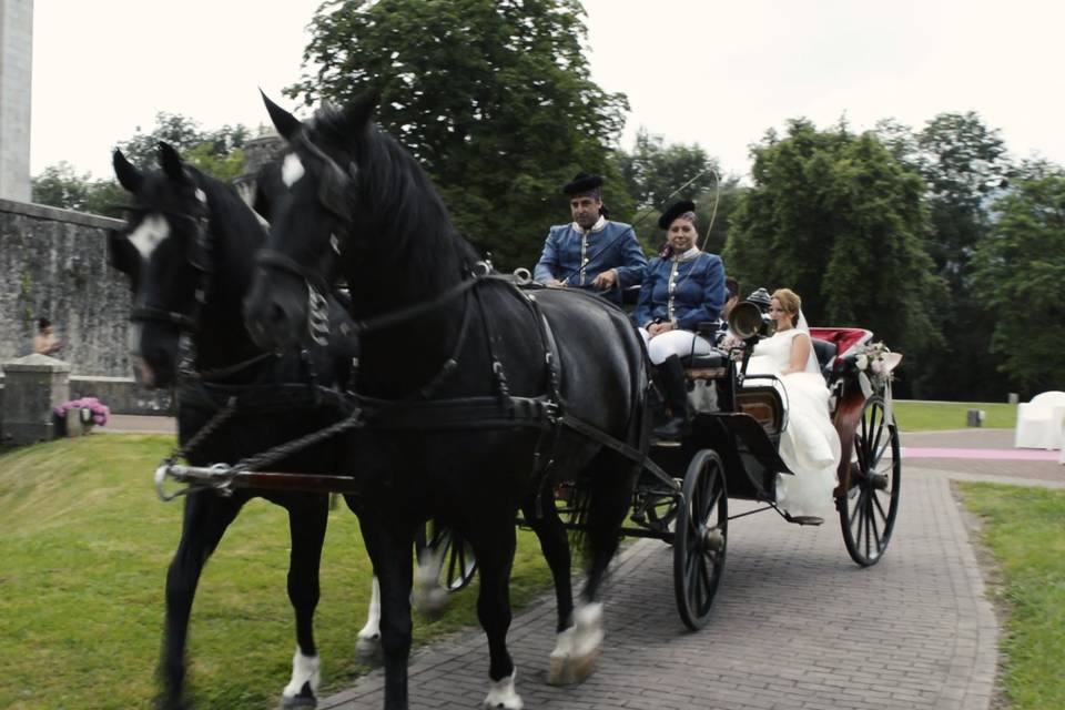 Coche de caballos