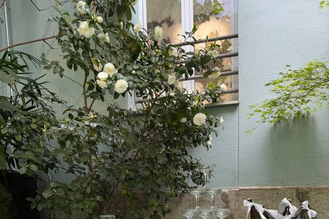 Terraza