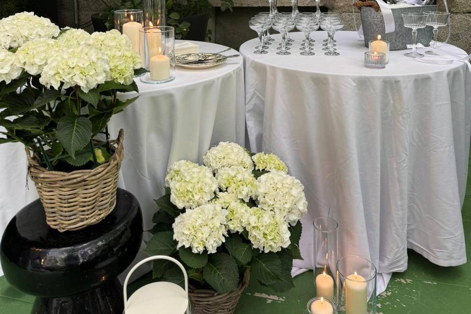 Terraza