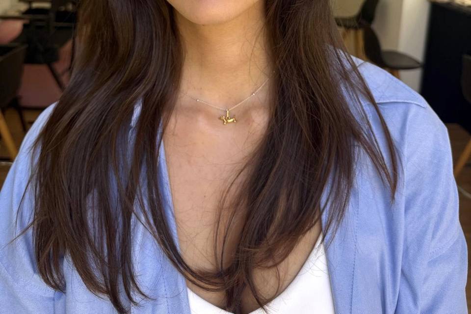 Novia delineado