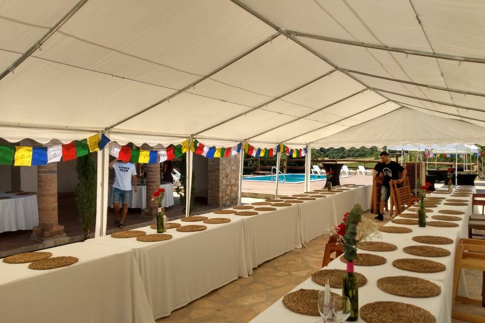 Carpa en pabellón