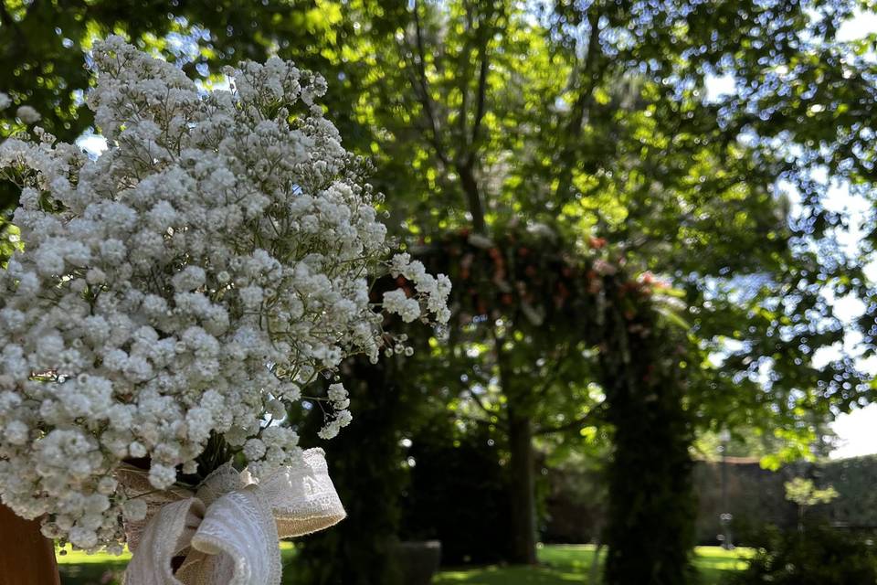 Sillas de Paniculata