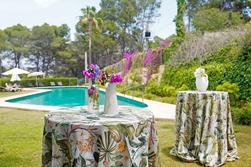 Coctail piscina