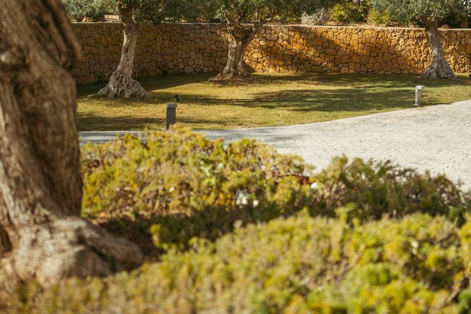 Jardín