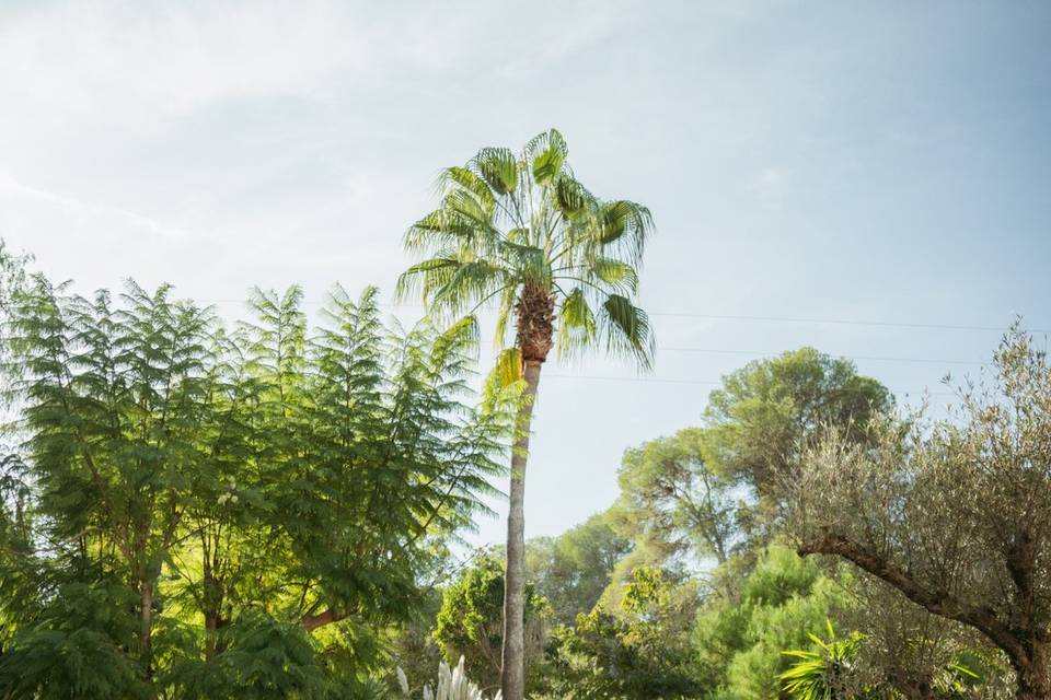 Jardín