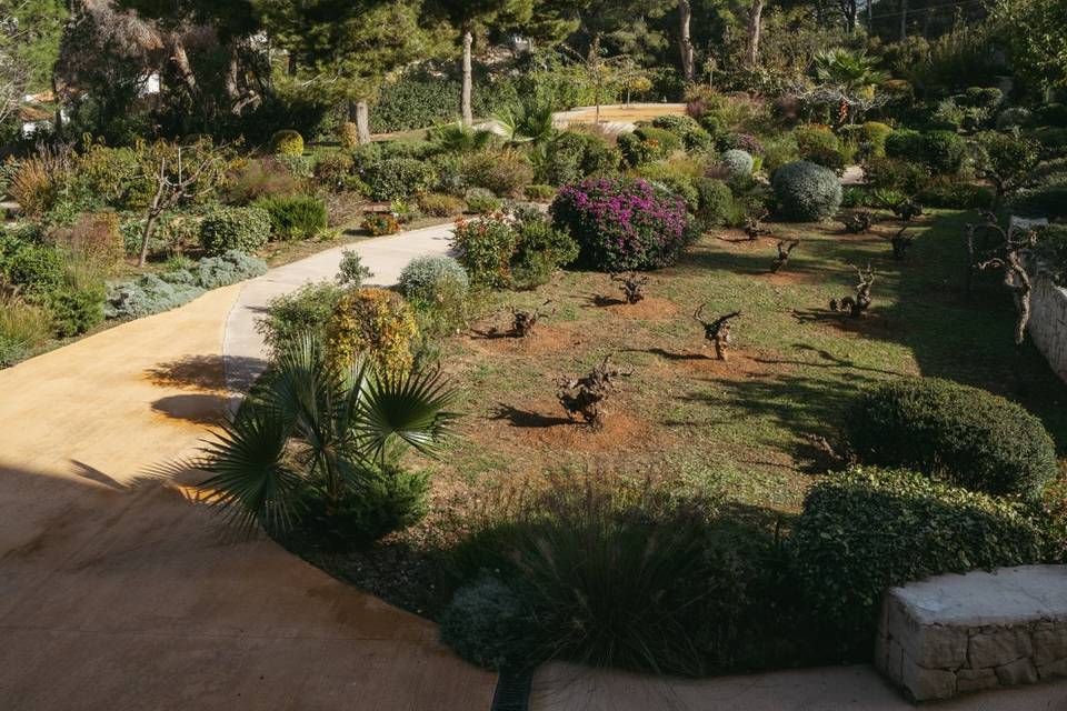 Huertos en nuestro jardín