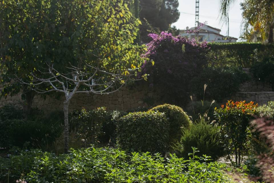 Huerto