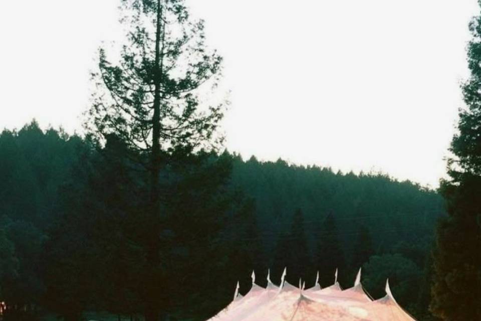 Carpas