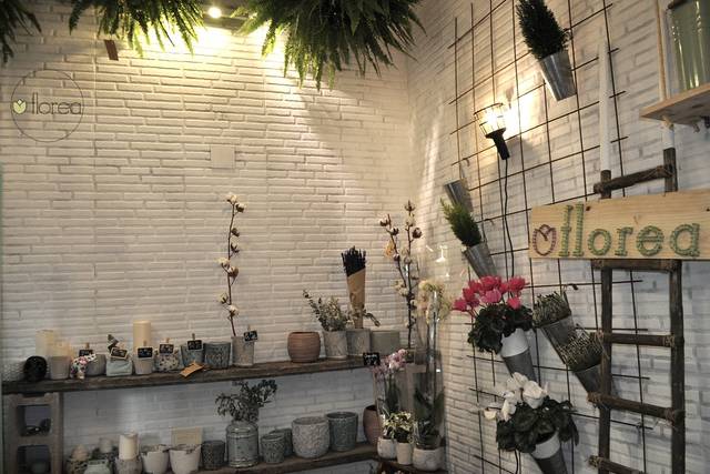 Interior Florea