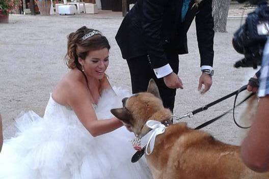 Boda Castillo de Tamarit