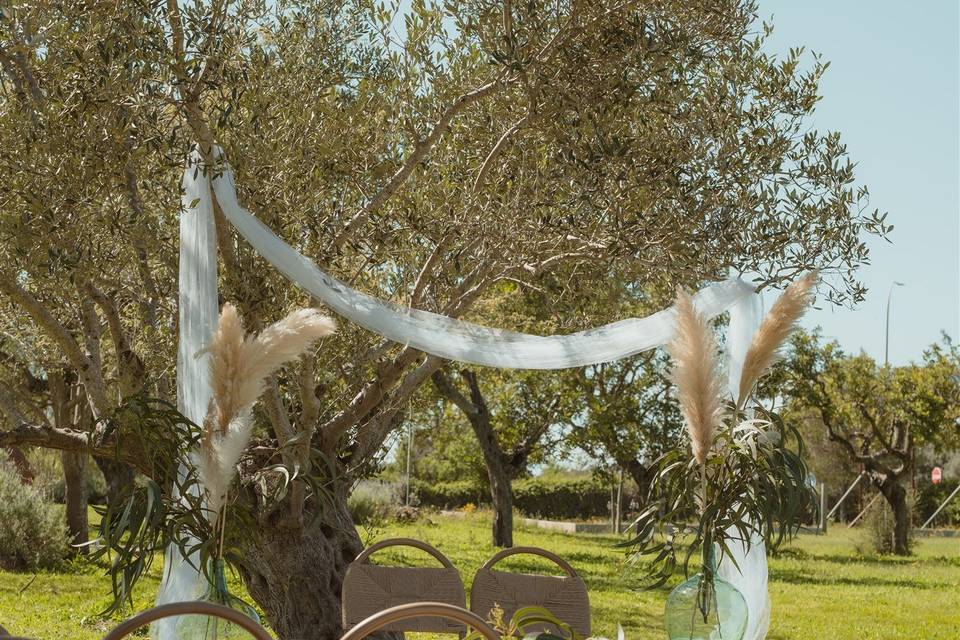 Ceremonia