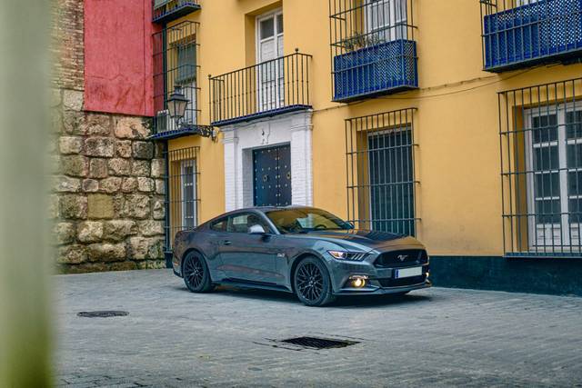 Wildmustang gt