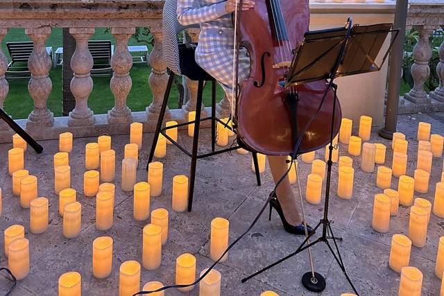 Bibi Cello