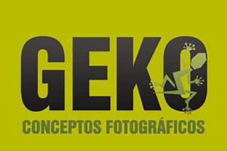 Geko, Conceptos Fotográficos