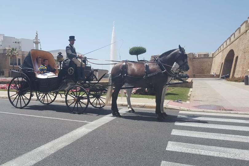 Boda en Cádiz