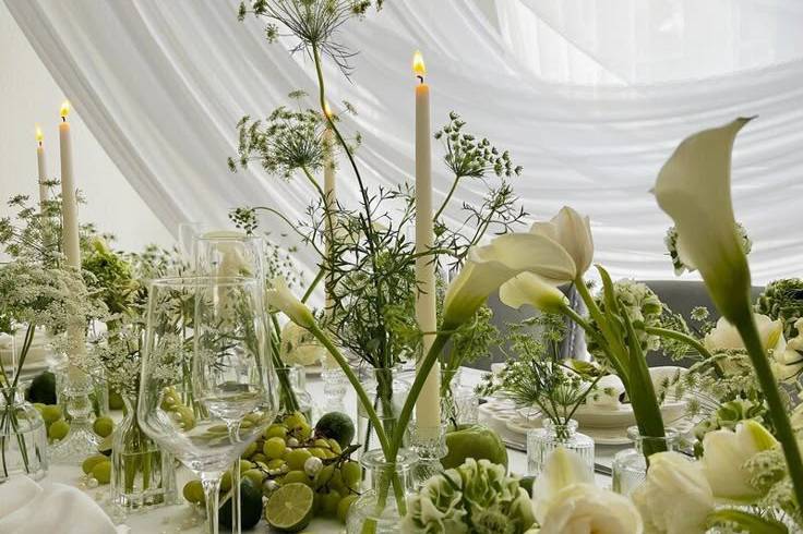 Dream Days Weddings