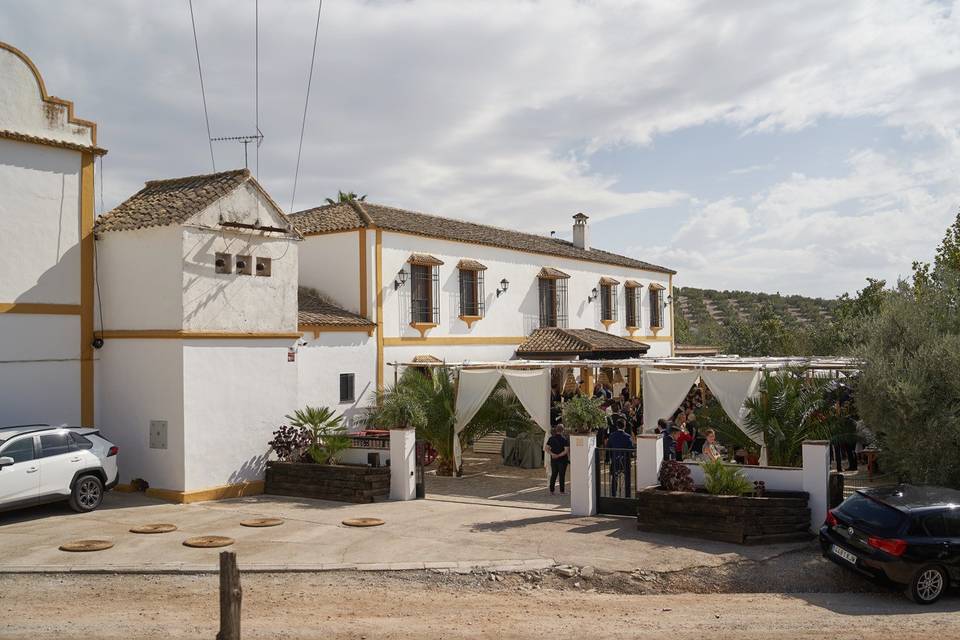 Zona de cóctel