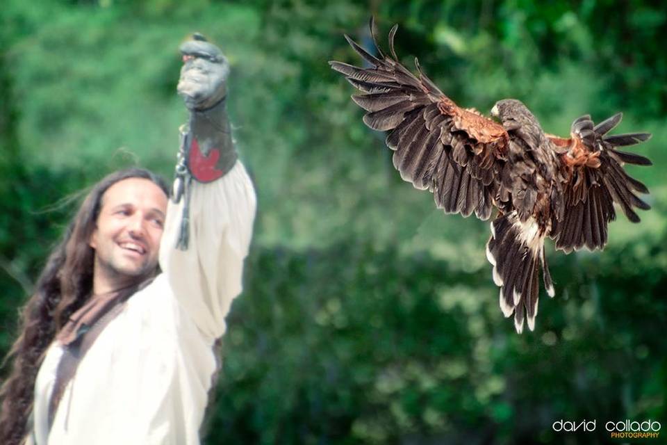 Bodas aves rapaces