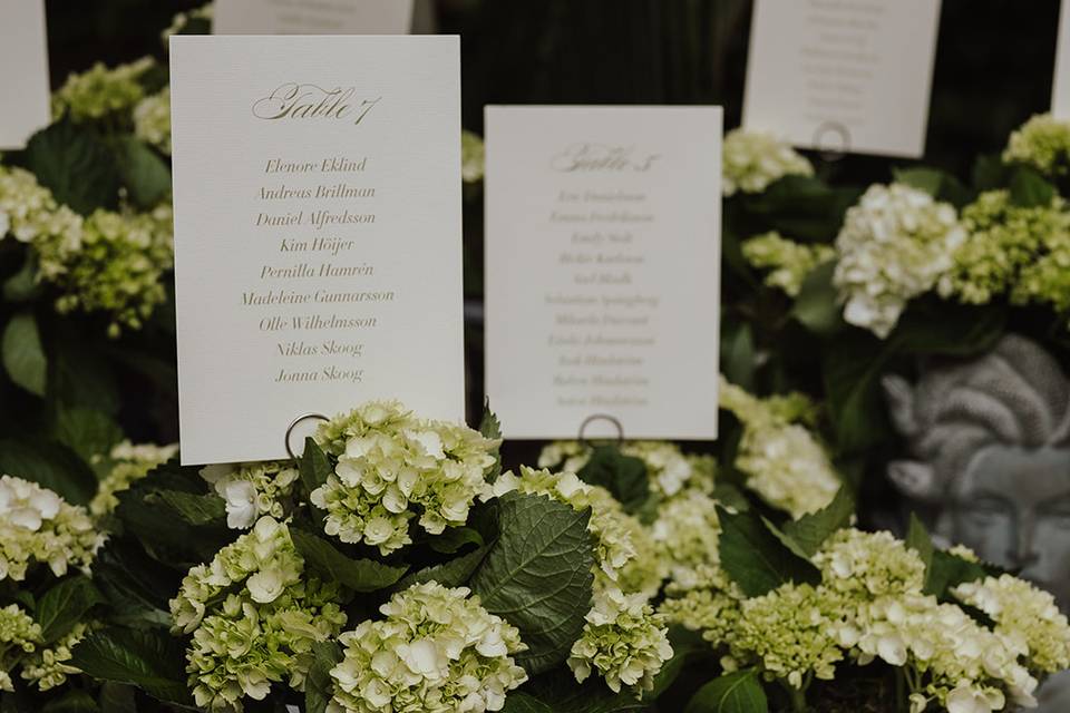 Goce eventos