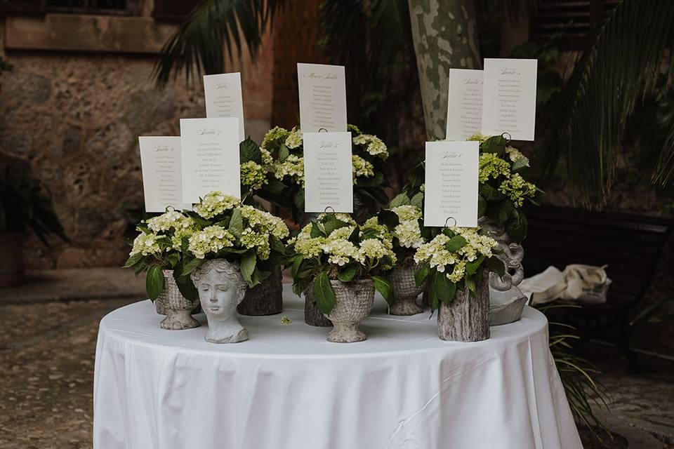 Goce eventos