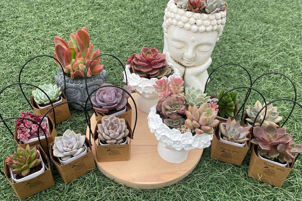 Detalles eventos y decoración