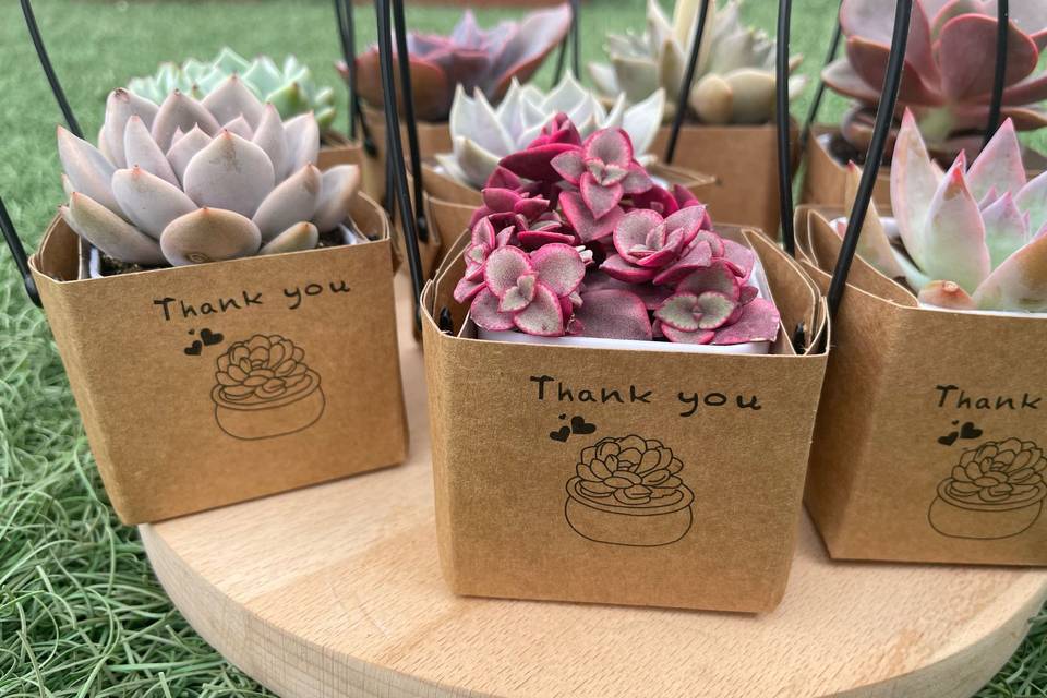 Detalles eventos