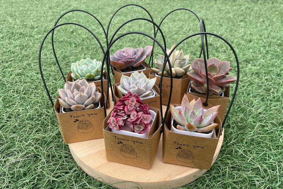 Detalles eventos