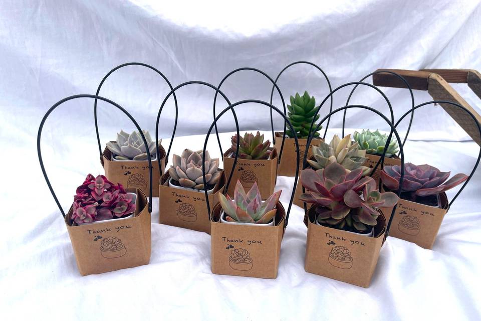 Detalles eventos
