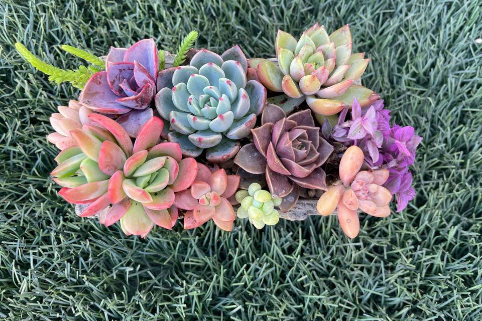 Detalles eventos y decoración