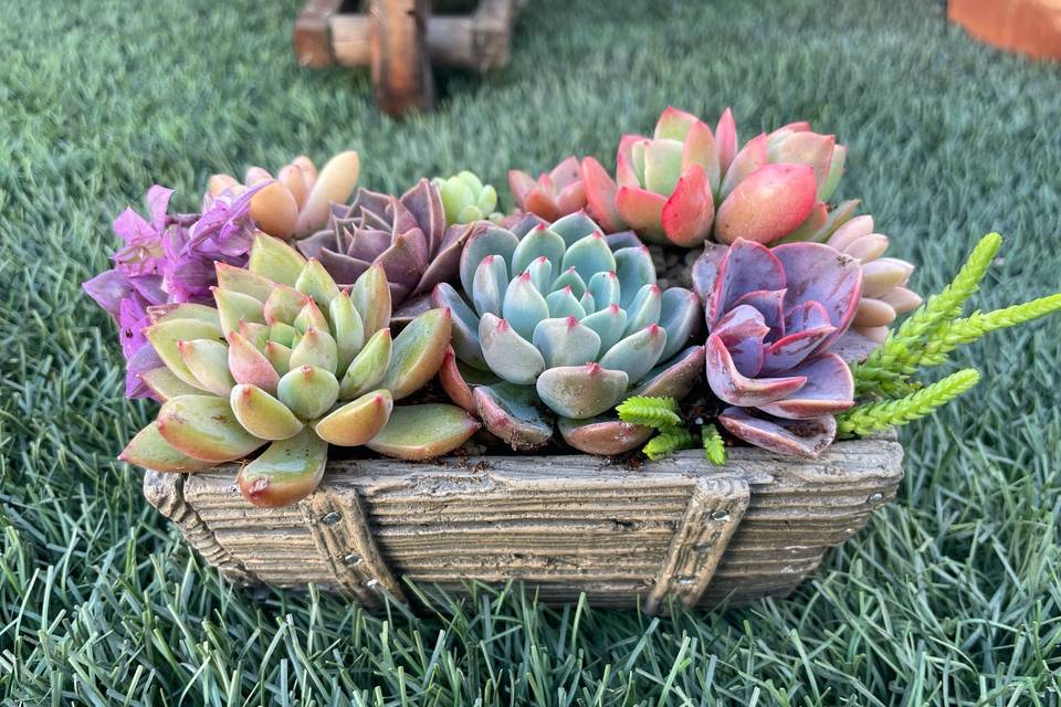 Detalles eventos y decoración