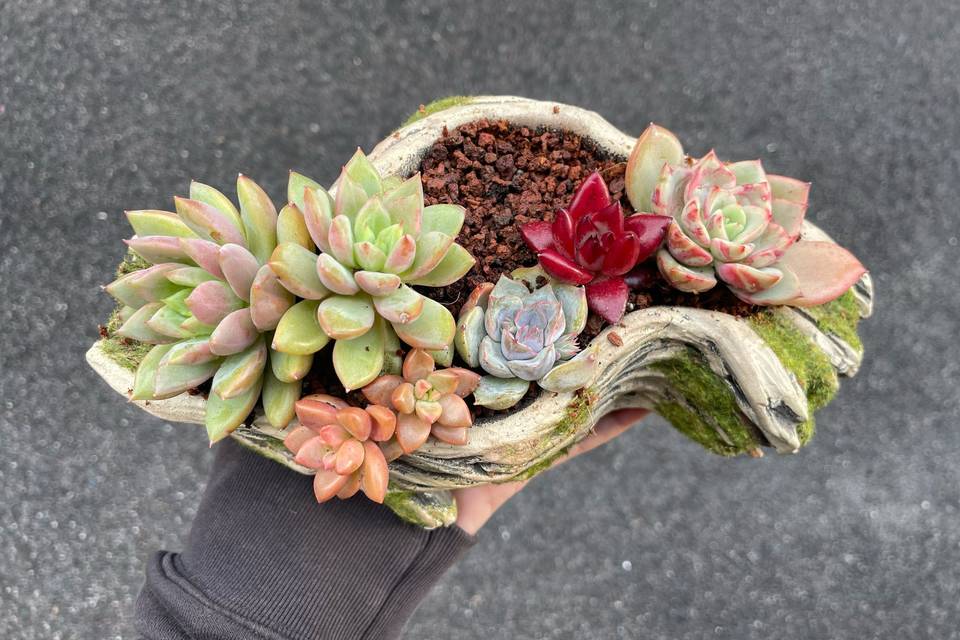 Detalles eventos y decoración