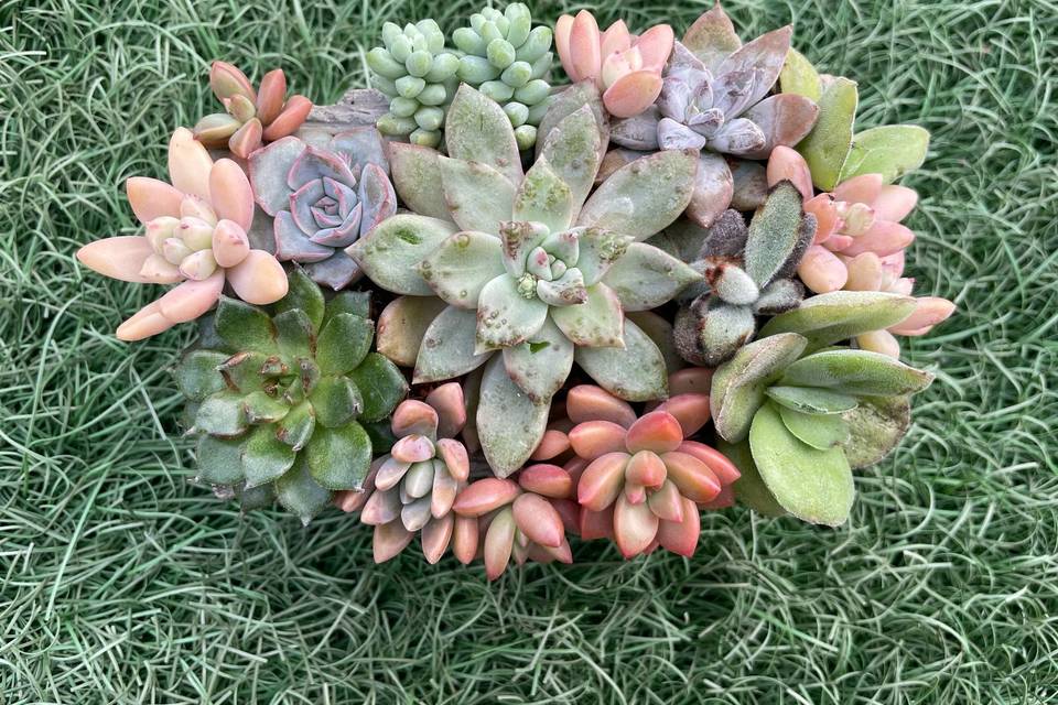 Detalles eventos y decoración