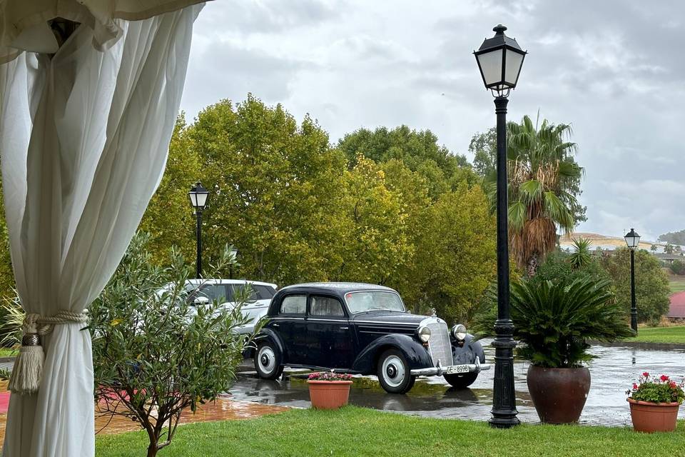 El coche elegante