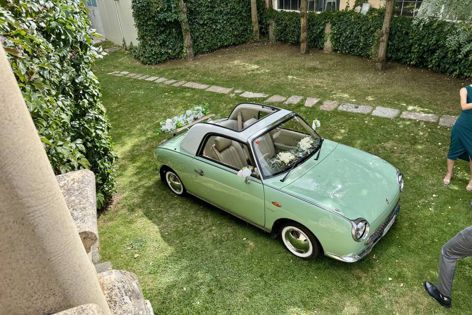 Molly la Figaro